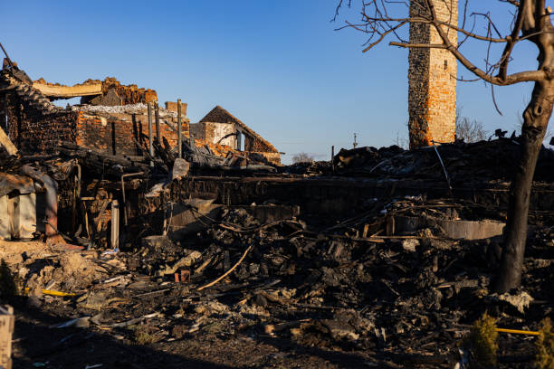 Reliable Content Restoration contractor in Seminole, FL by Meridian Smoke Damage